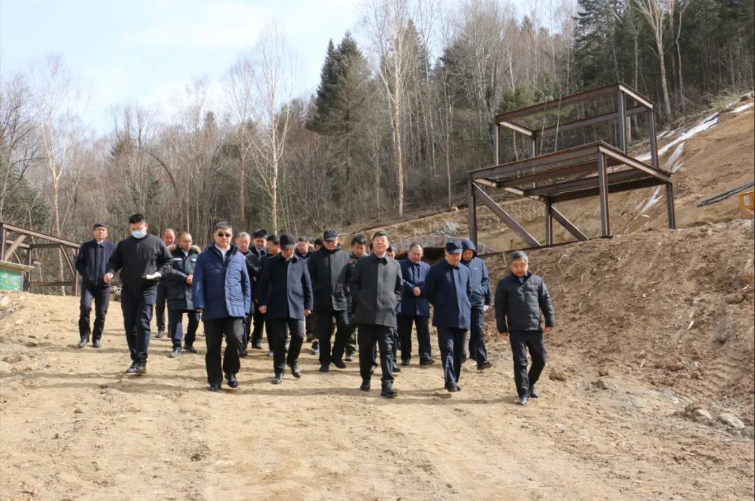 伊春市委书记隋洪波深入公司鹤伊高速公路项目调研指导(图3)